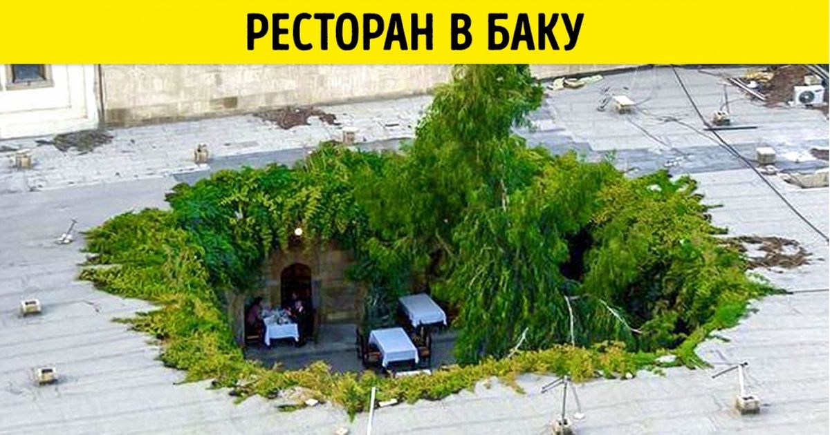 12 ресторанов, в которых еда — это не главное
