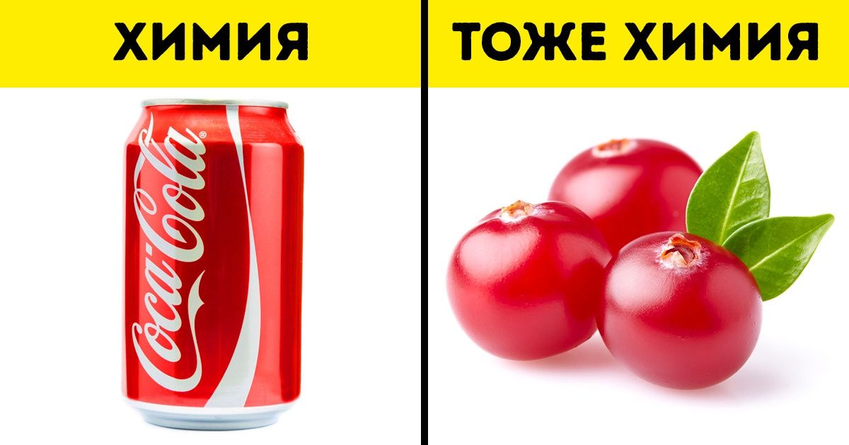 4 мифа о здоровом образе жизни, которые оказались полной ерундой
