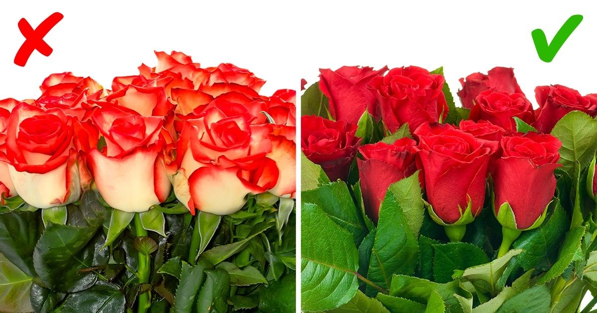 Флористы рассказали, как самостоятельно собрать профессиональный букет