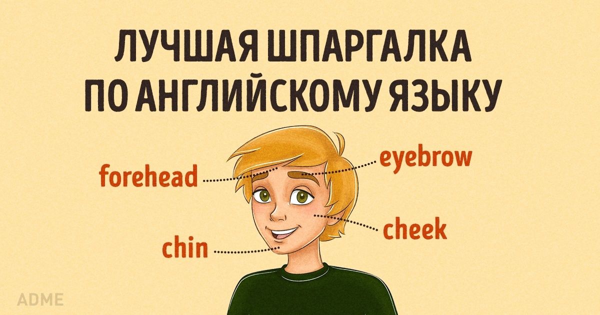 Лучшая шпаргалка по английскому языку