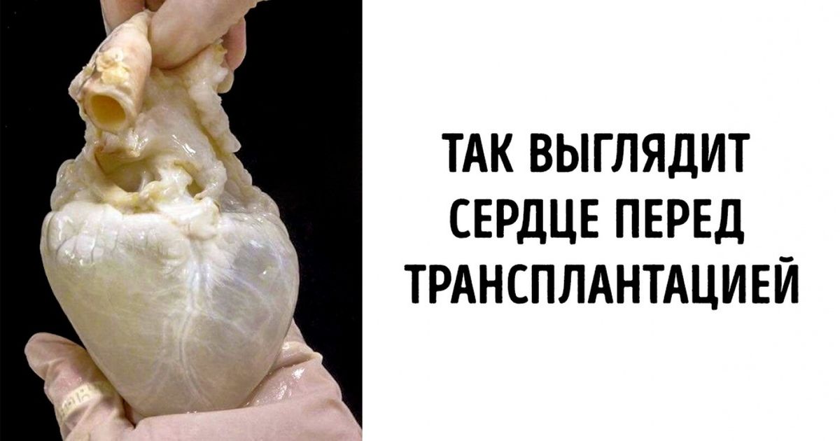 20+ удивительных вещей, о которых вы слышали, но которые вряд ли видели