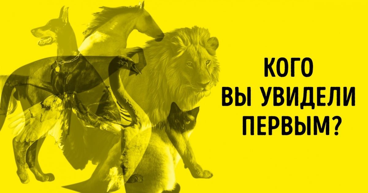 Тест: Не раздумывая, назовите животное, которое вы увидели первым. И вы многое поймете о себе