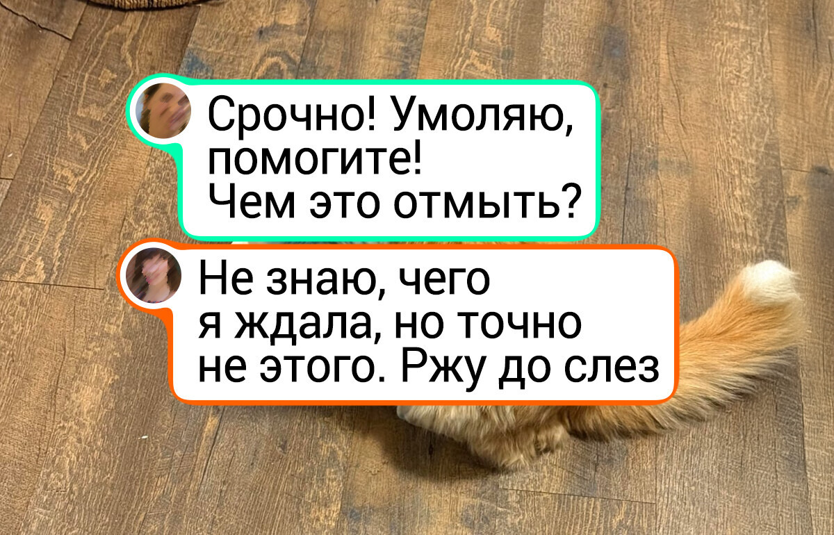 15+ человек, которым такое отмывать пришлось, что и профессиональный клинер бы спасовал
