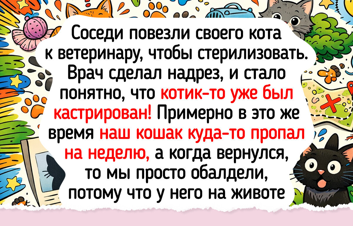 15 смешных историй с неожиданным финалом, по которым можно ситком снимать