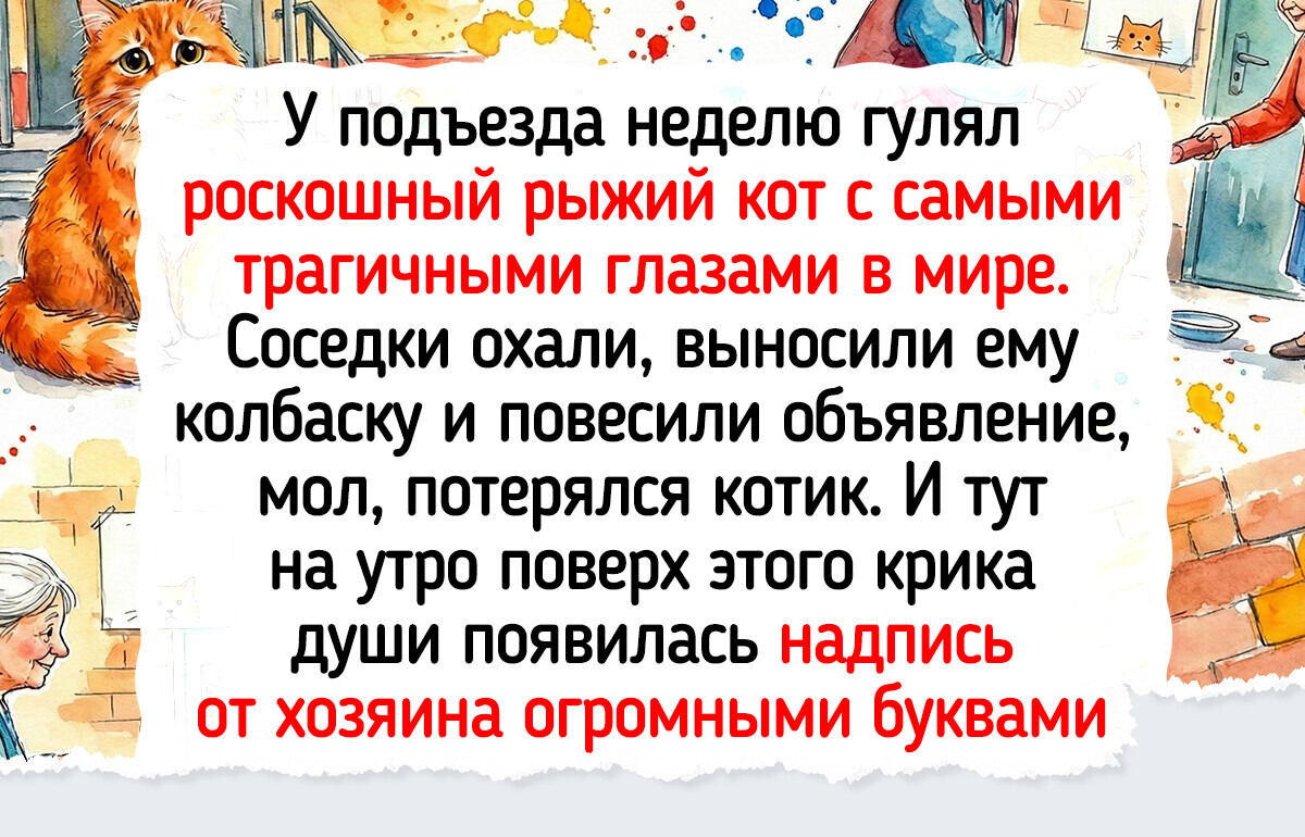 18 объявлений от людей, которые заслуживают премию за чувство юмора