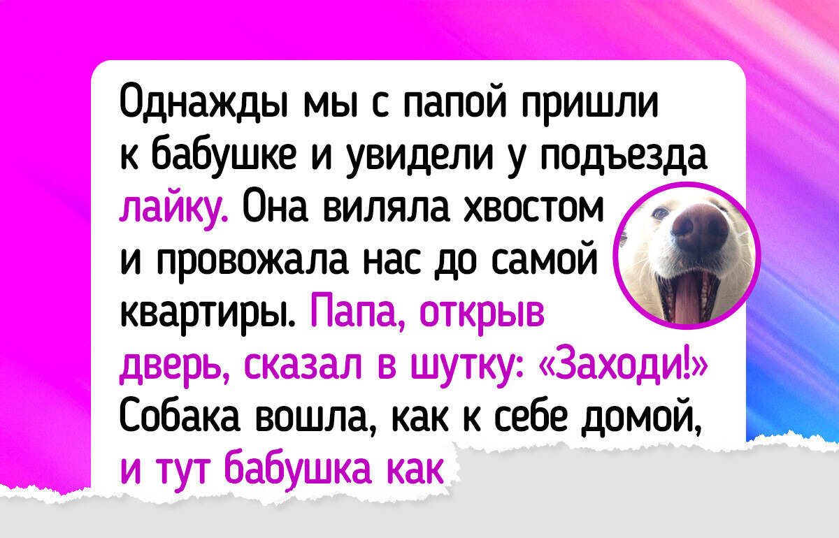 22 истории воссоединения и спасения хвостатых, от которых сердце растает