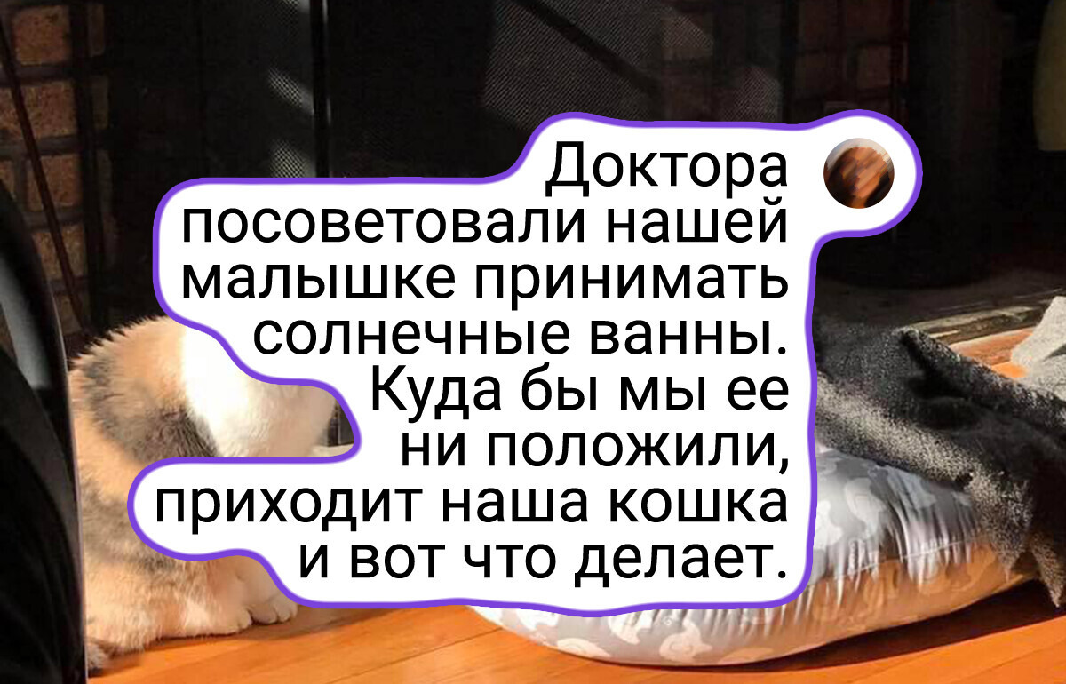 20+ фотографий, на которых запечатлено самое настоящее, созданное своими руками, счастье