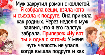 19 случаев, когда простая дружба оказалась сильнее времени и обстоятельств