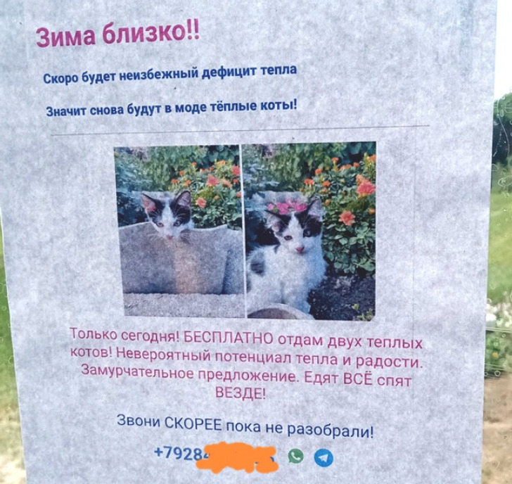 19 примеров настоящего народного творчества, которое живет не в музеях, а на досках объявлений