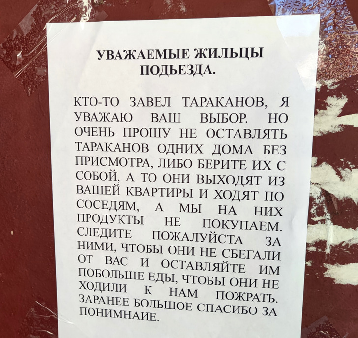 20 уморительных объявлений, которые поднимут настроение на раз-два / Sololaki