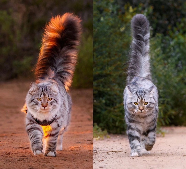 19 фото, которые лучше любых слов покажут изнанку лета / Sololaki