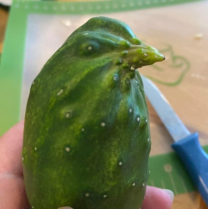 16 фото, которые на секундочку могут сломать ваш мозг / Sololaki