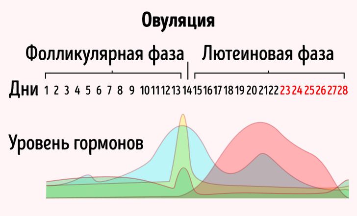 Почему Во Время Овуляции Хочется Секса Почему Во Время Овуляции Хочется Секса