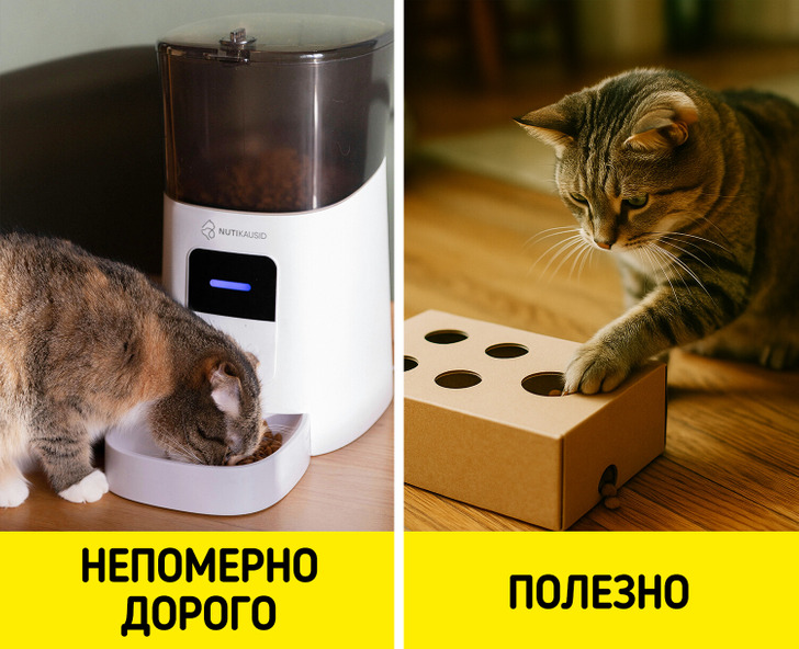 Пользователи сети назвали 16 ошибок, которые вредят мурлыке и опустошают кошелек