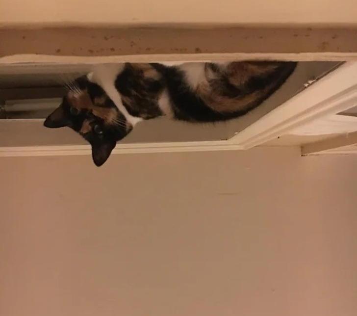 20+ фото, на которые смотришь и мозг на секунду ломается / Sololaki