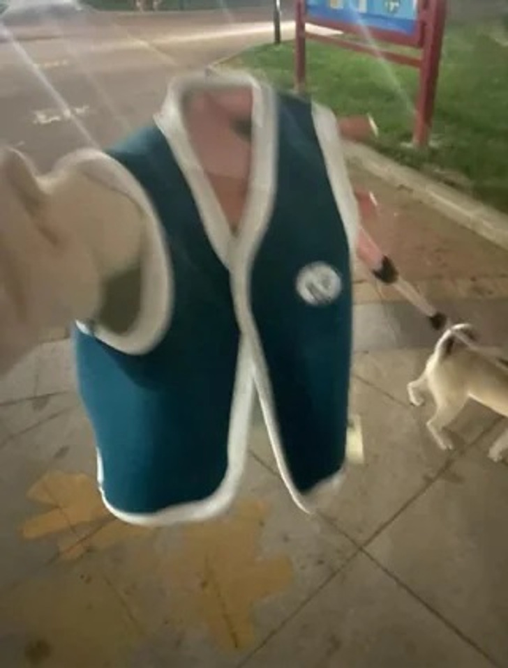 20+ фото, на которые смотришь и мозг на секунду ломается / Sololaki