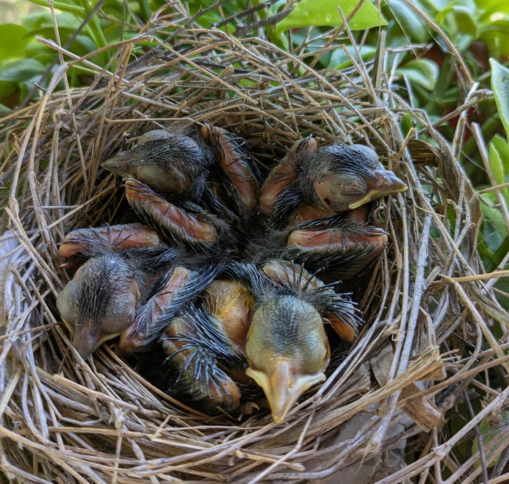 16 фото, которые берут и обманывают глаза и мозг / Sololaki