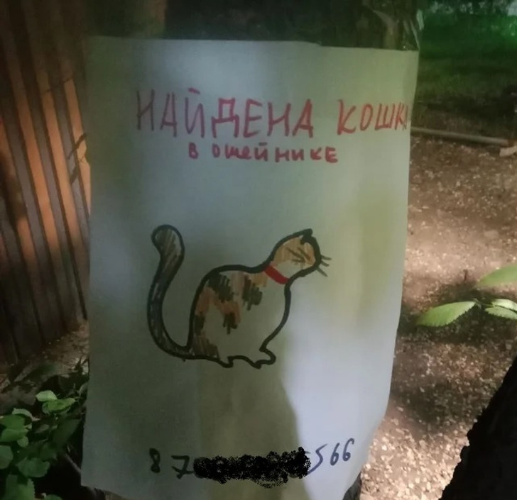 19 примеров настоящего народного творчества, которое живет не в музеях, а на досках объявлений