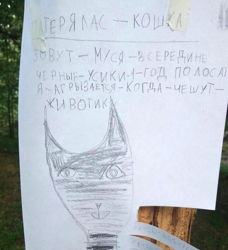 20 уморительных объявлений, которые поднимут настроение на раз-два / Sololaki