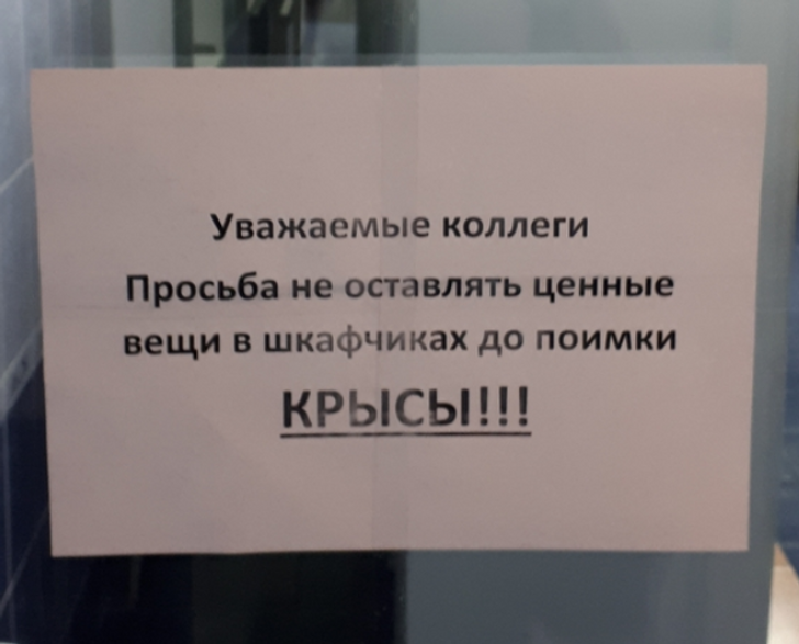 19 примеров настоящего народного творчества, которое живет не в музеях, а на досках объявлений