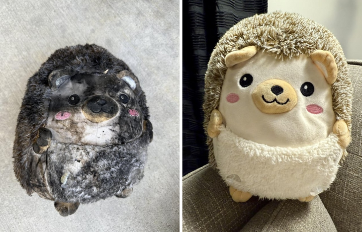 17 фото, взглянув на которые хочется воскликнуть «Да не может быть!» / Sololaki